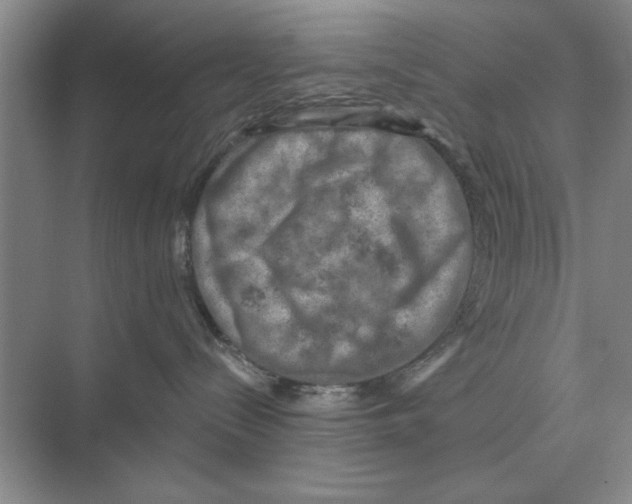 X0000074340288200609230126