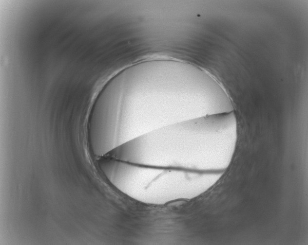 X0000074340289200609230125