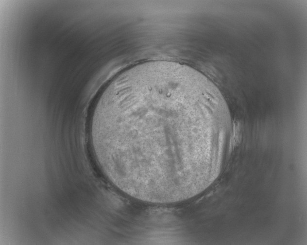 X0000074340291200609230125