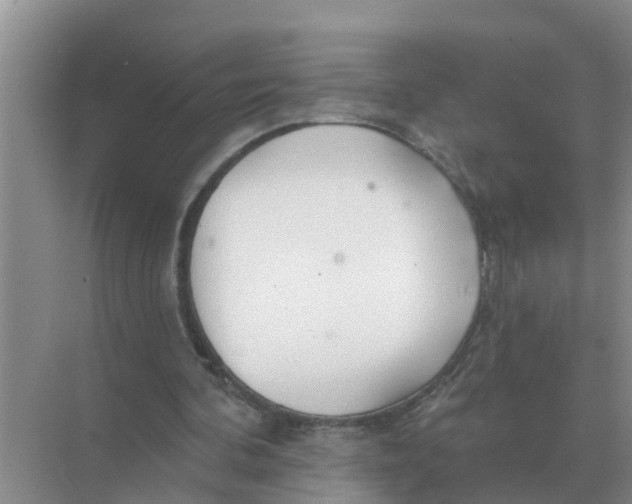 X0000074340292200609230125