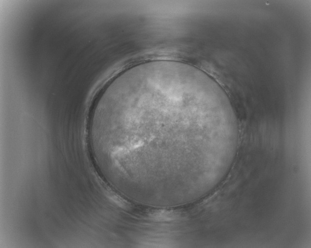 X0000074340293200609230125