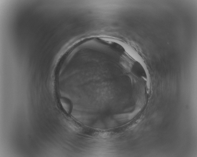 X0000074340295200609230125