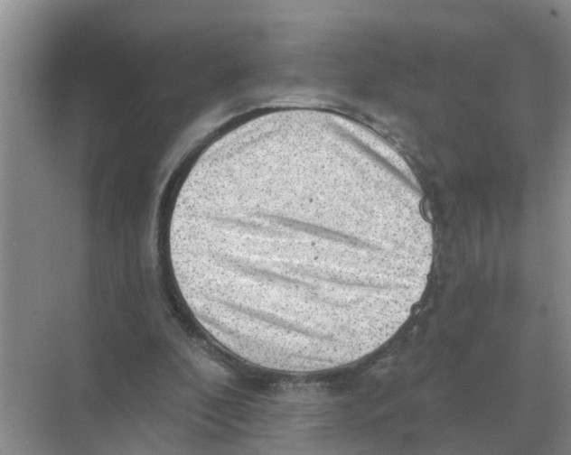 X0000074340296200609230125