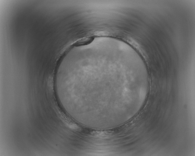 X0000074340297200609230125