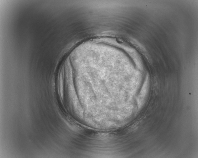 X0000074340298200609230125