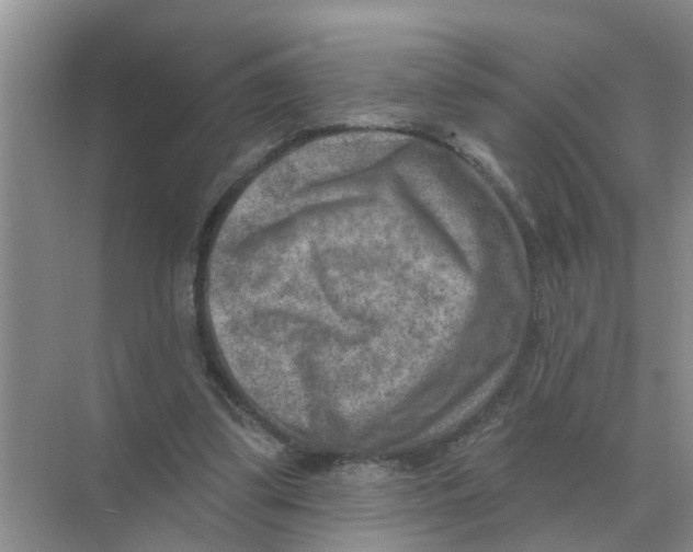 X0000074340299200609230125