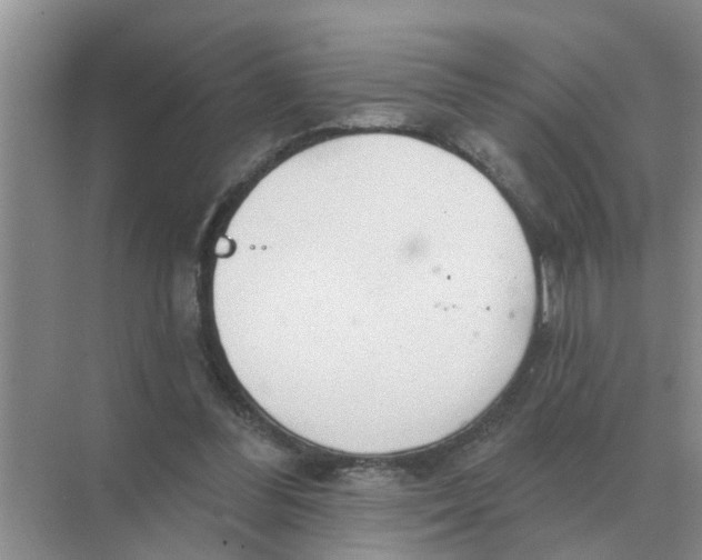 X0000074340300200609230125