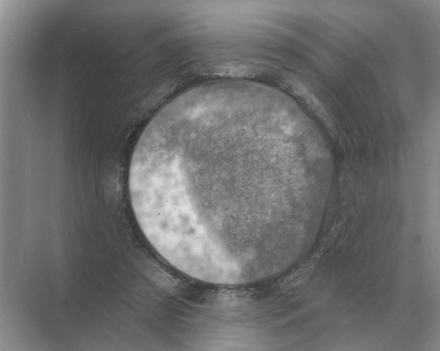 X0000074340305200609230125