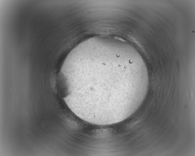 X0000074340307200609230125