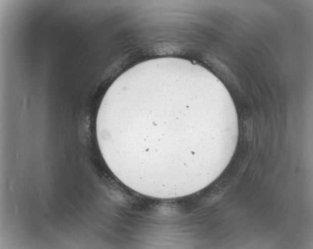 X0000074340308200609230125