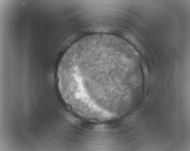 X0000074340309200609230125