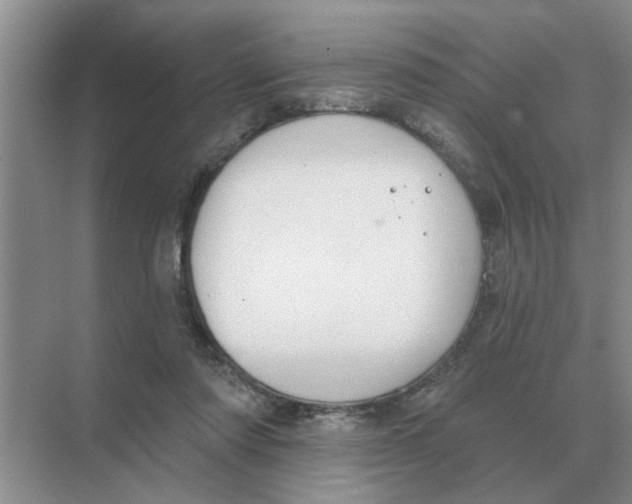 X0000074340310200609230125