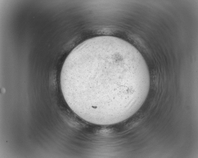 X0000074340312200609230125