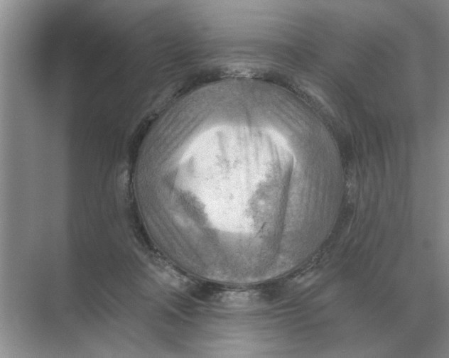 X0000074340314200609230125