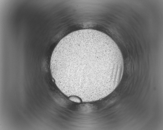 X0000074340316200609230125