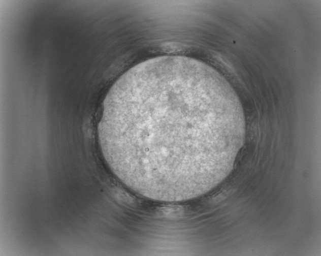 X0000074340317200609230125