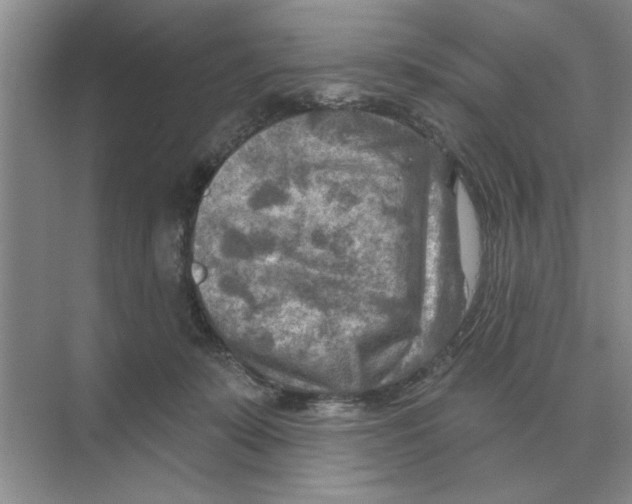 X0000074340319200609230125