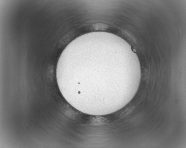 X0000074340321200609230125