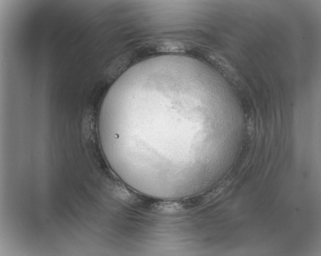 X0000074340322200609230125