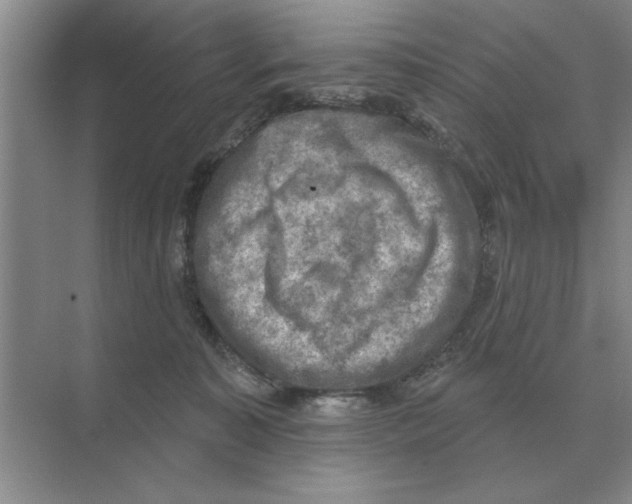 X0000074340323200609230125