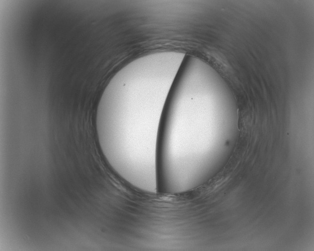 X0000074340325200609230125