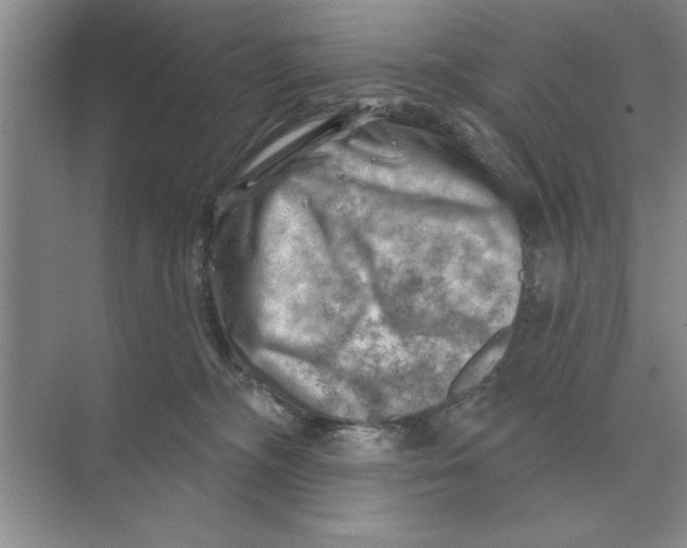 X0000074340326200609230125