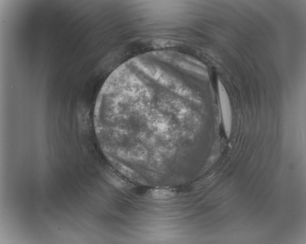 X0000074340327200609230125