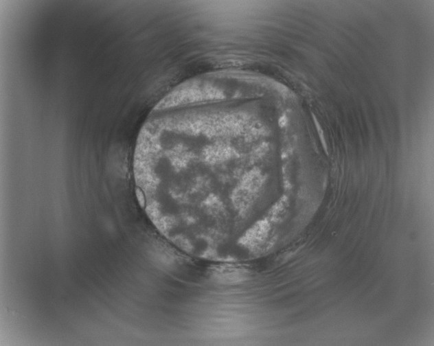 X0000074340331200609230124