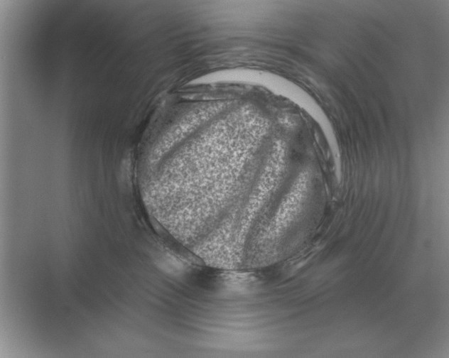 X0000074340333200609230124