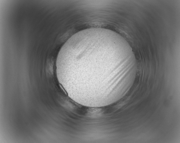 X0000074340334200609230124