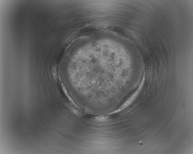 X0000074340335200609230124