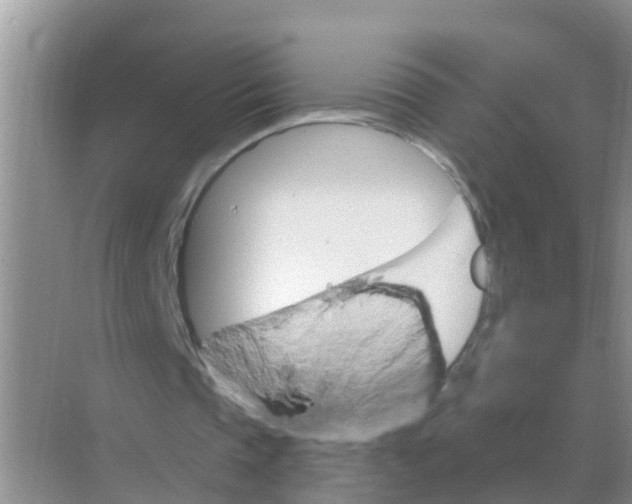 X0000074340337200609230124