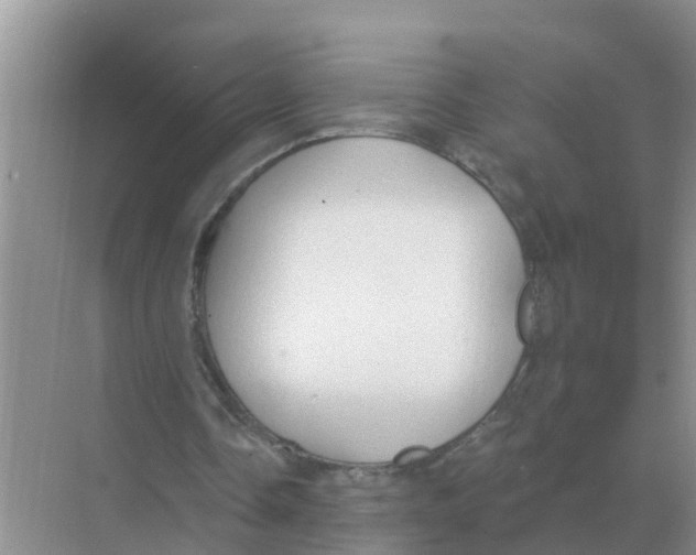 X0000074340338200609230124