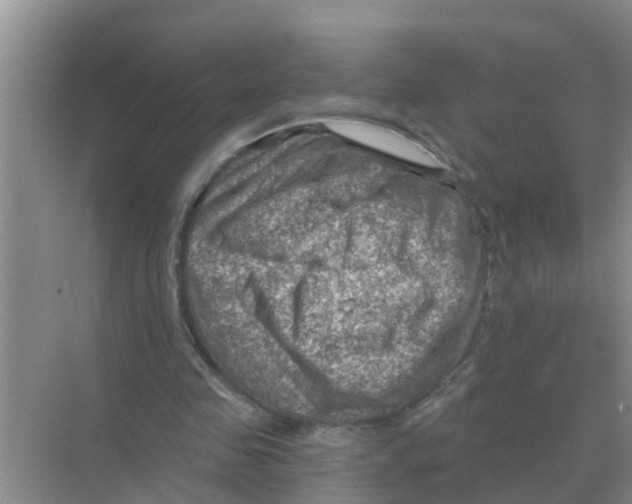 X0000074340341200609230124