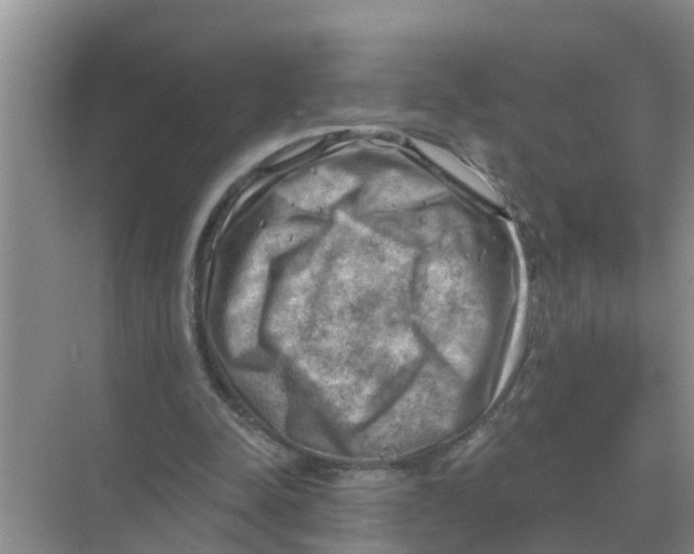 X0000074340342200609230124