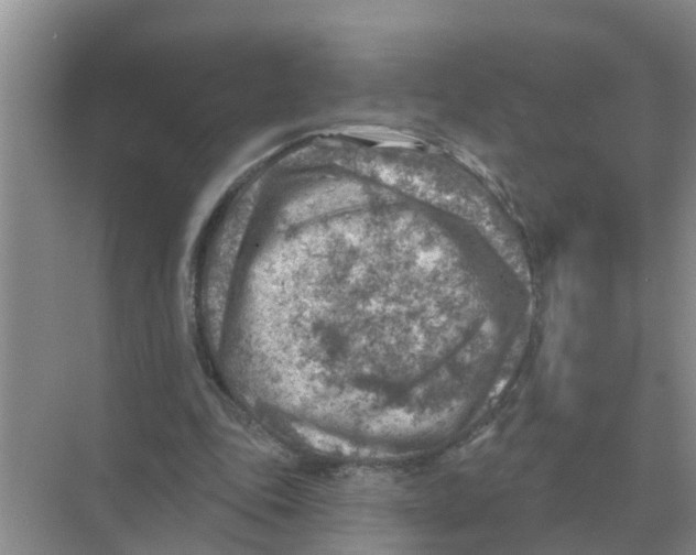 X0000074340343200609230124