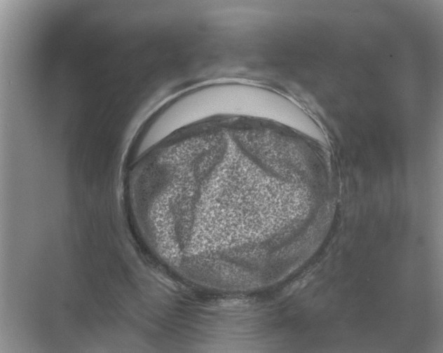 X0000074340344200609230124