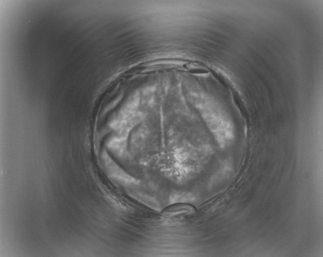 X0000074340345200609230124