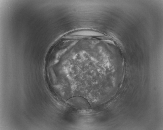 X0000074340346200609230124