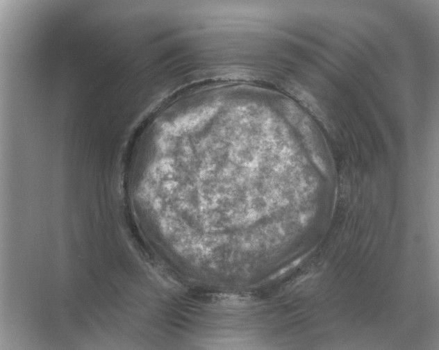 X0000074340347200609230124