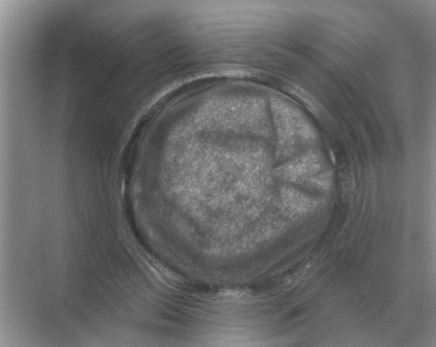 X0000074340350200609230124