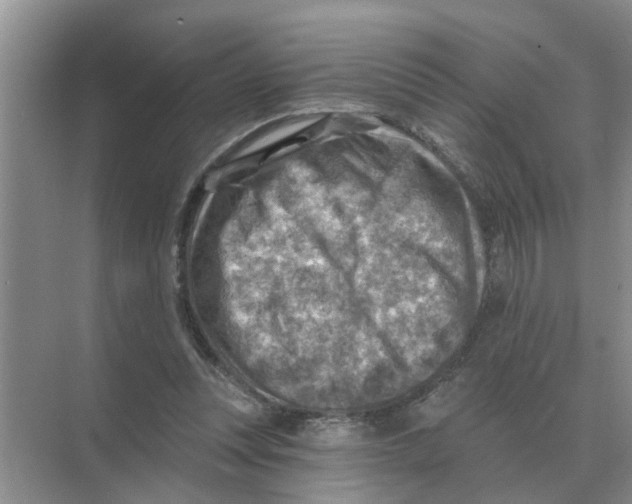 X0000074340351200609230124