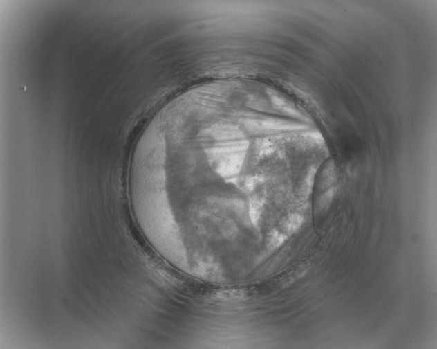 X0000074340353200609230124