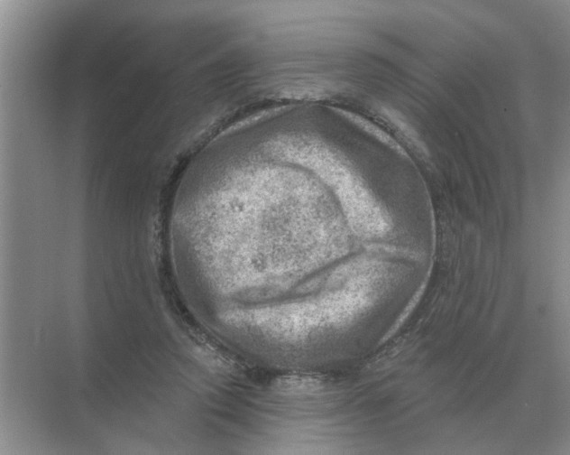 X0000074340354200609230124