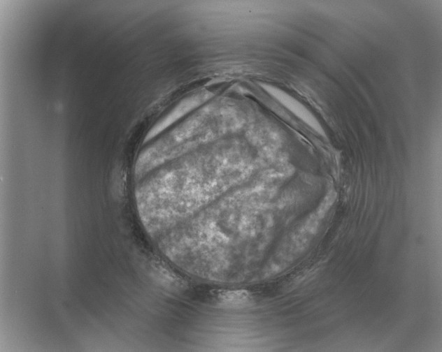 X0000074340355200609230124