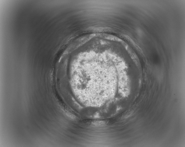 X0000074340357200609230124