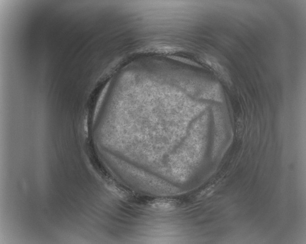 X0000074340358200609230124