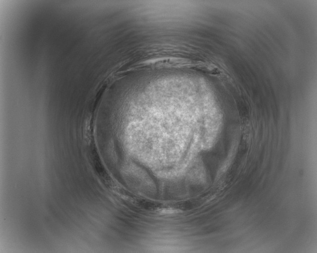 X0000074340360200609230124