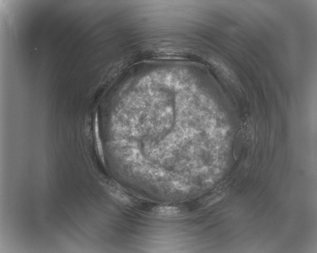 X0000074340361200609230124