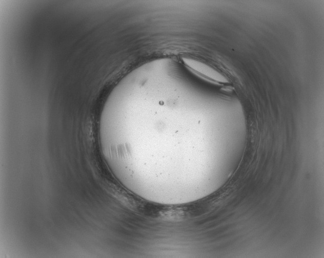 X0000074340362200609230124